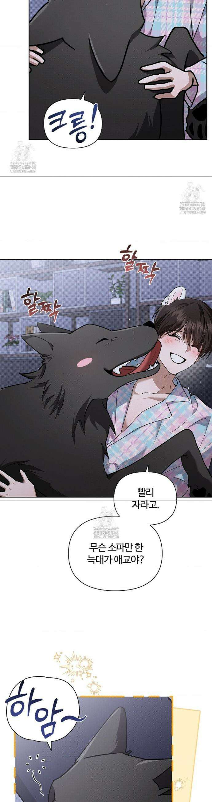 강아지는 건드리지 마라 51화 2