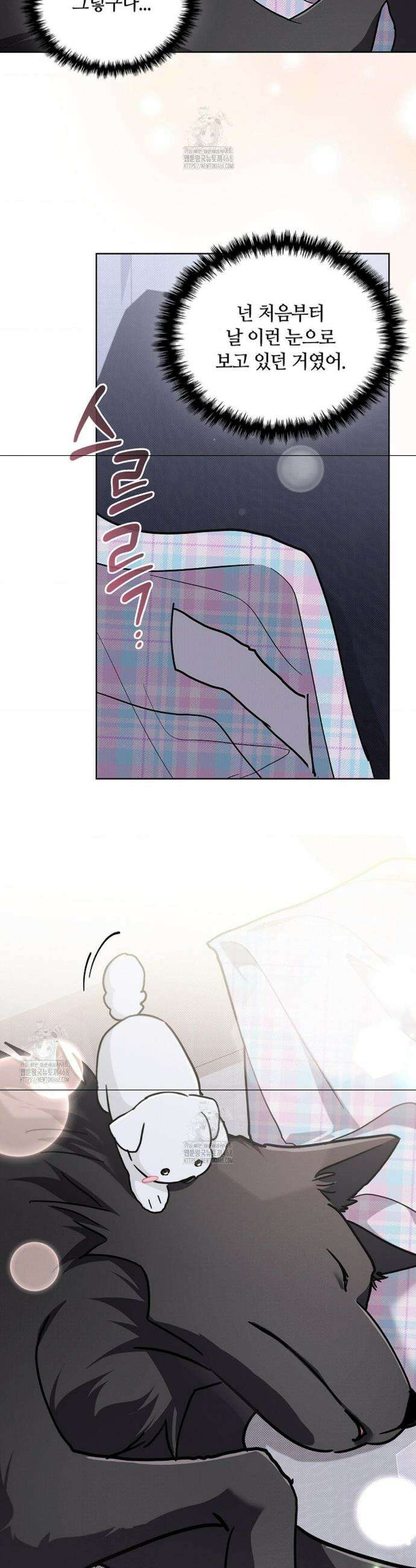강아지는 건드리지 마라 51화 8