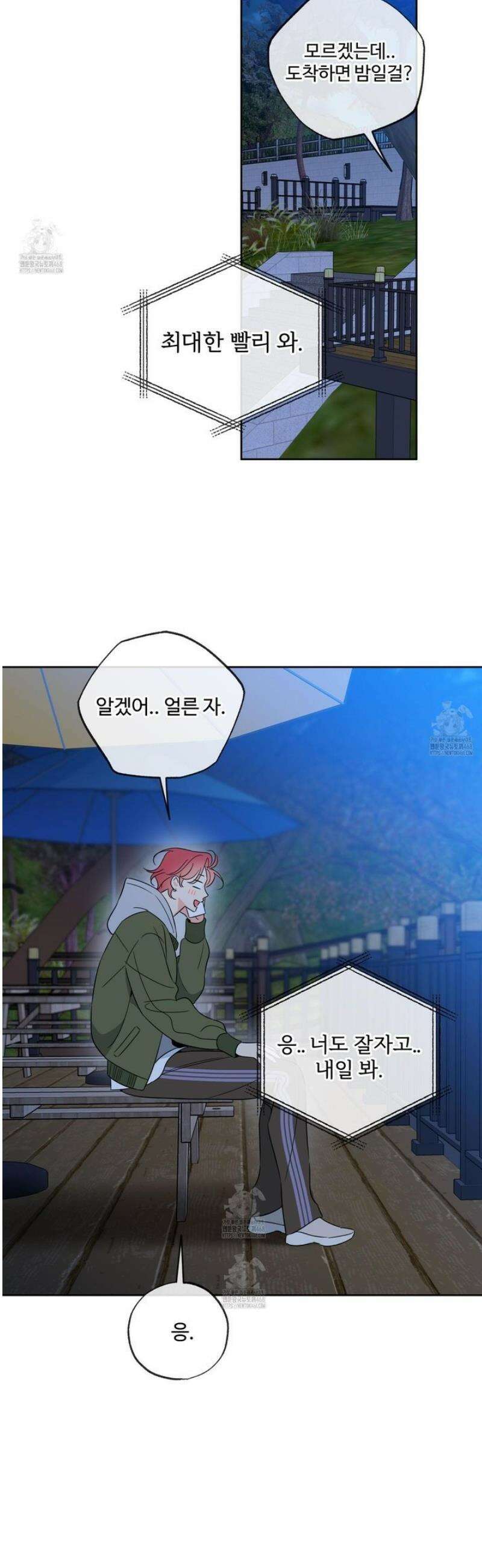 허니 트러블 41화 31