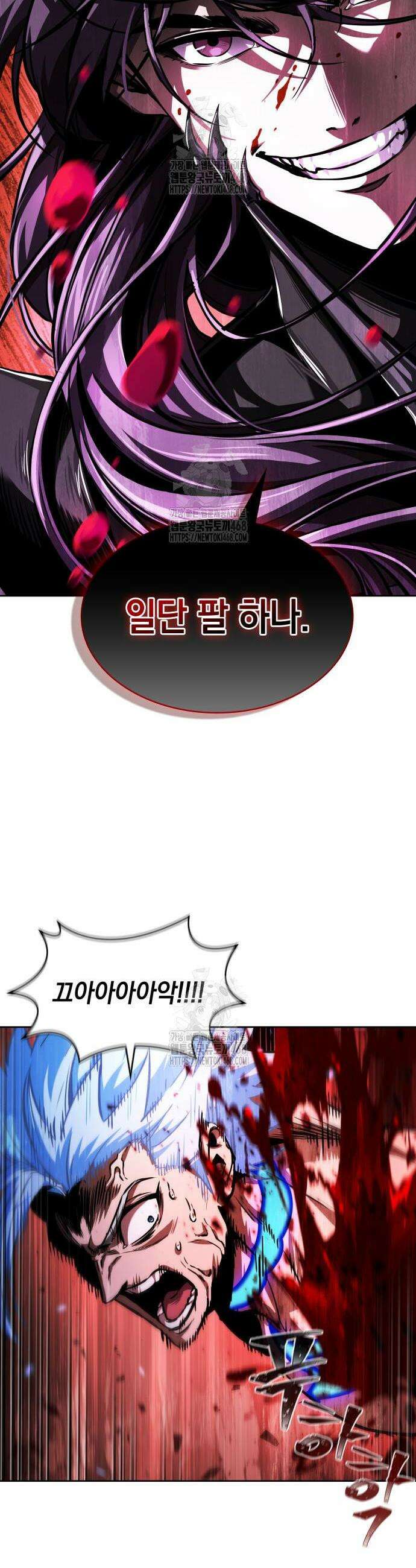 나노마신 272화 4