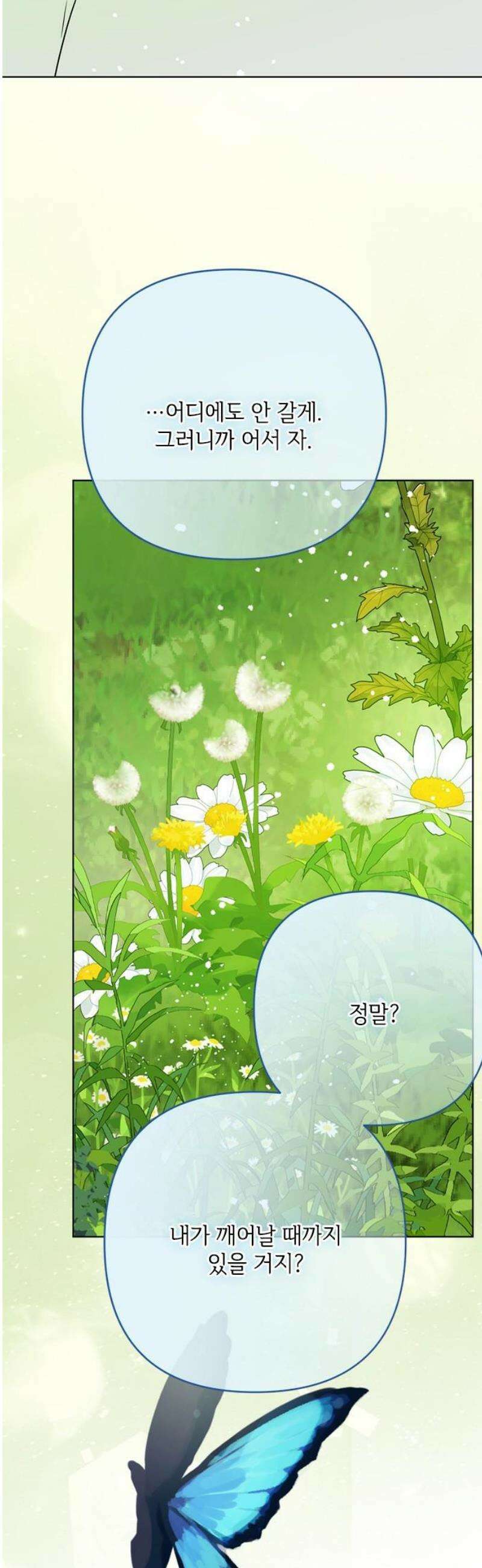 그 기사가 레이디로 사는 법 175화 : 오랜 친구에게 40