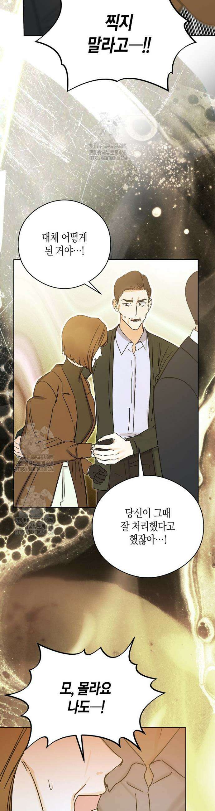 결혼의 목적 51화 33