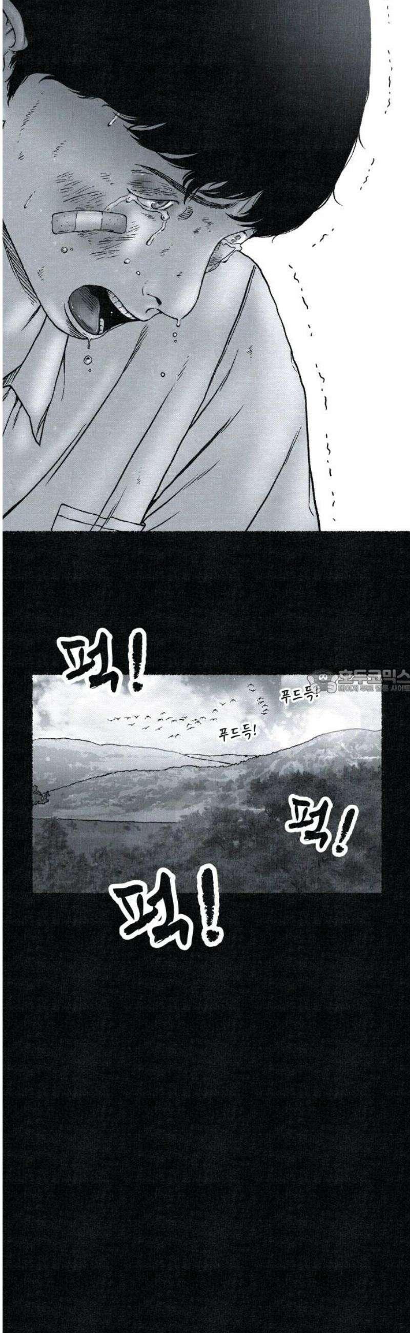 벌집 87화 13