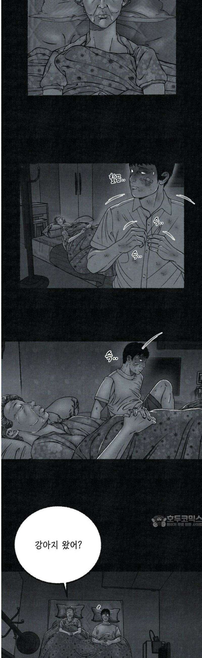 벌집 87화 17