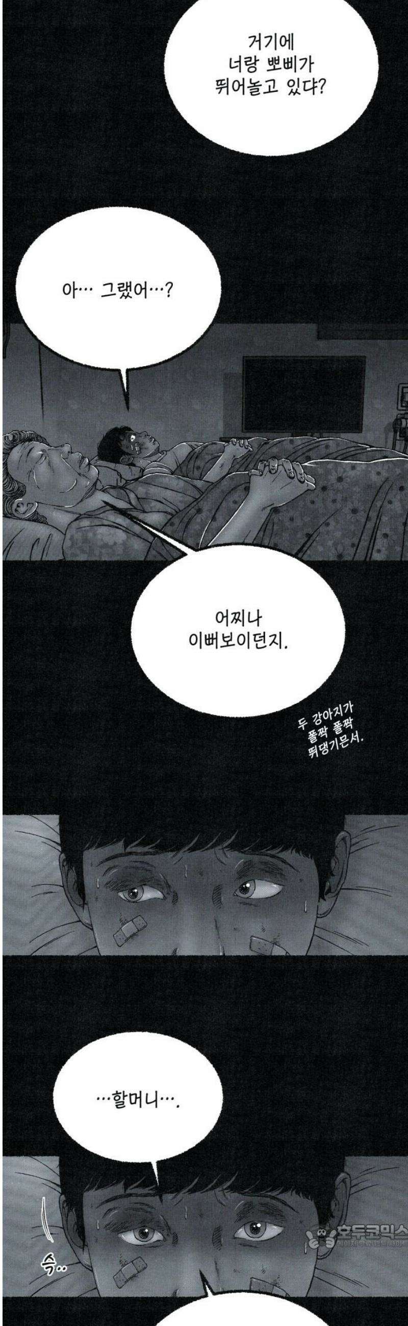 벌집 87화 19