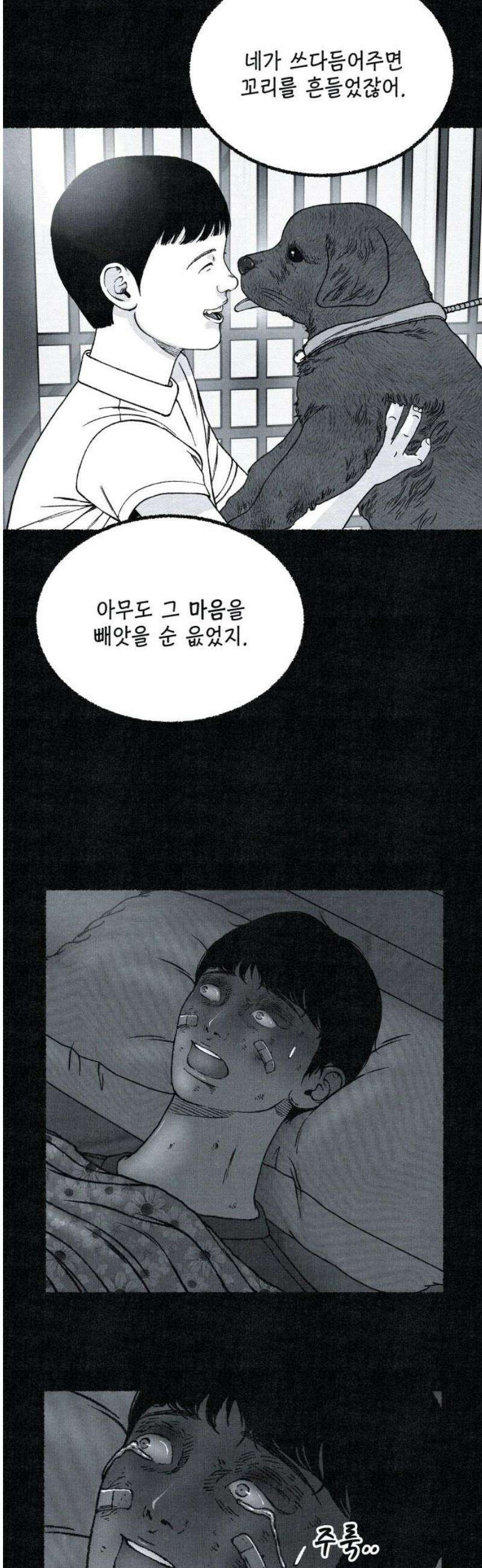벌집 87화 29