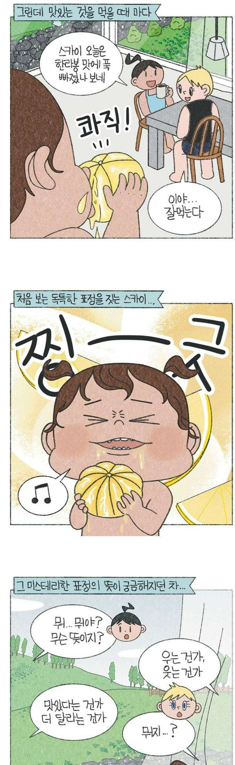 마님이네 미국 시골집 이야기 206화 한국에서 처음 보는 네 표정 3