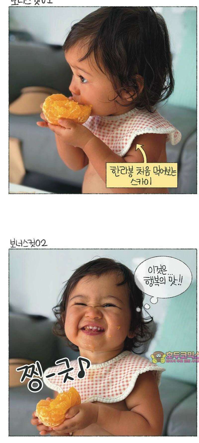 마님이네 미국 시골집 이야기 206화 한국에서 처음 보는 네 표정 5
