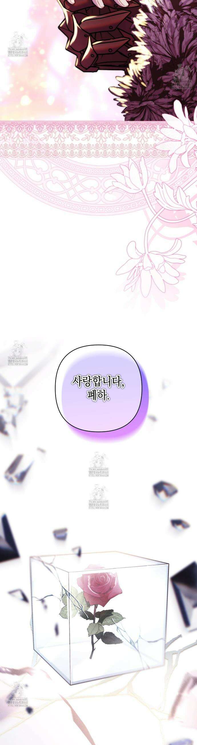 아무튼 로판 맞습니다 143화 58