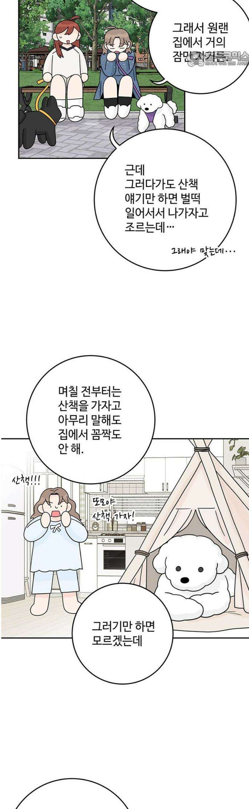요괴삼월 23화 22