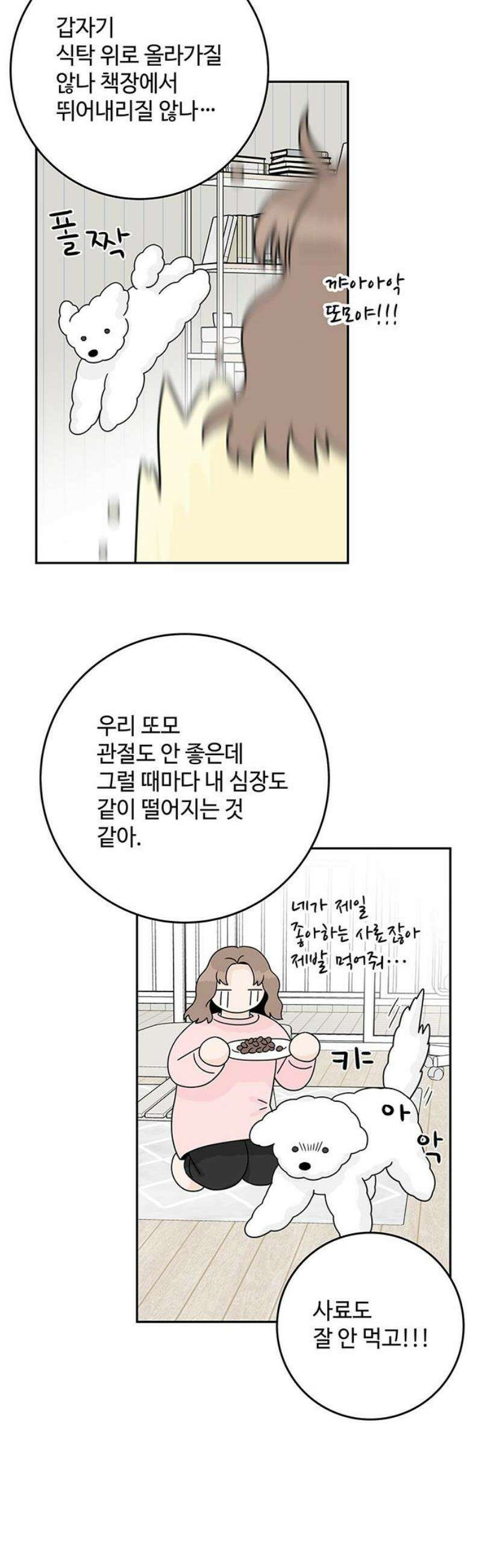 요괴삼월 23화 23