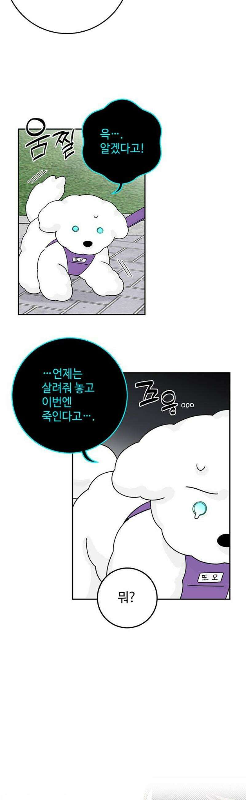 요괴삼월 23화 35