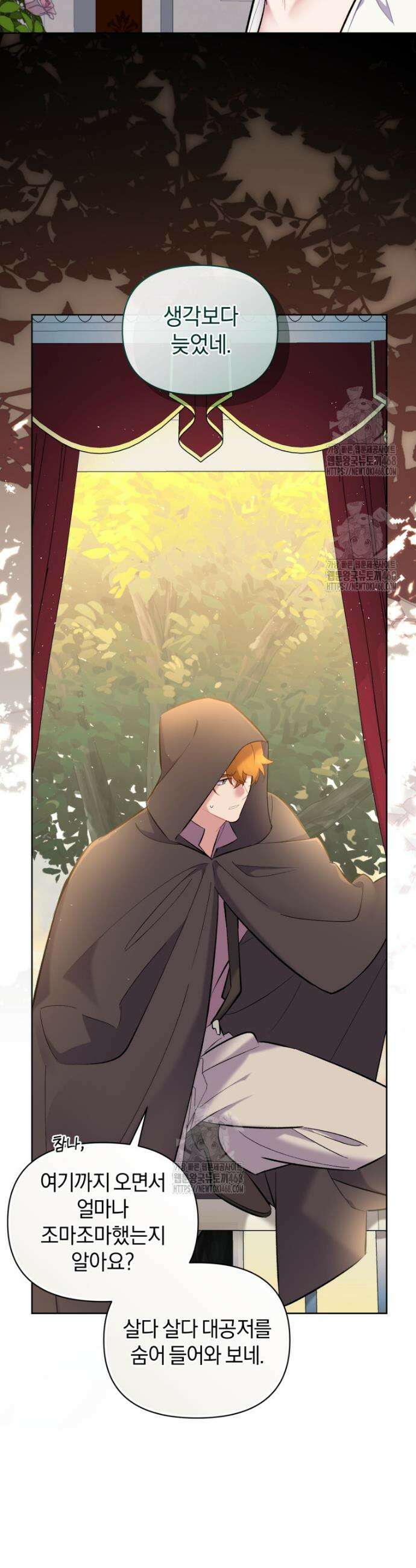 걱정 마세요, 합의된 사기 결혼입니다 45화 3
