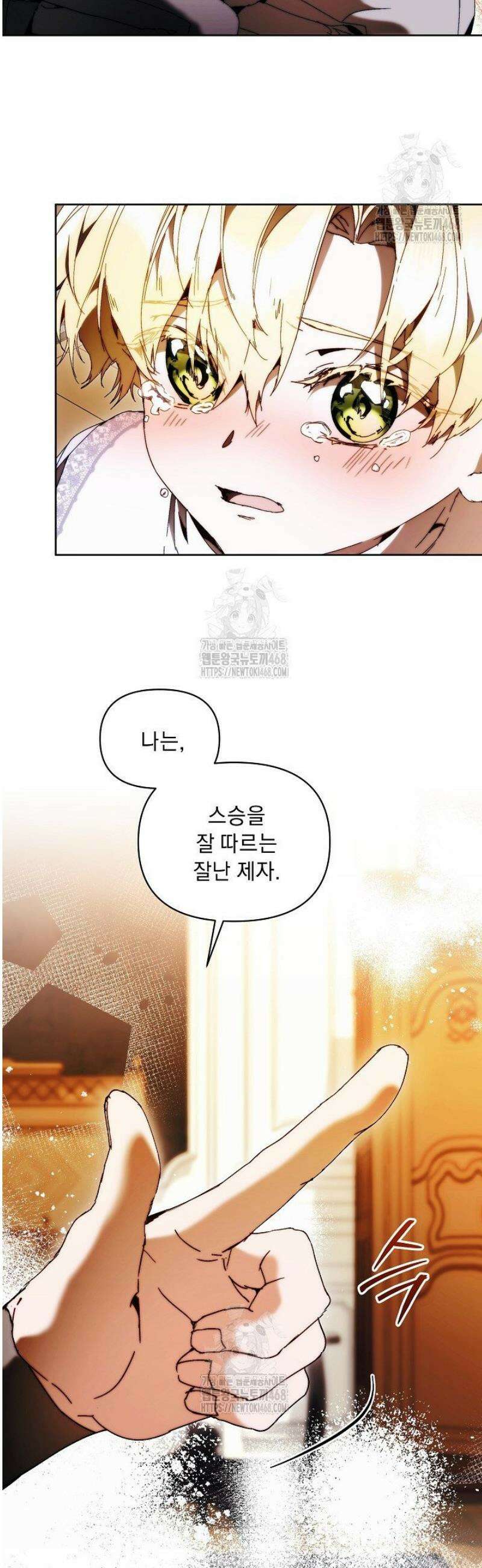 흑막 남주의 시한부 유모입니다 85화 14