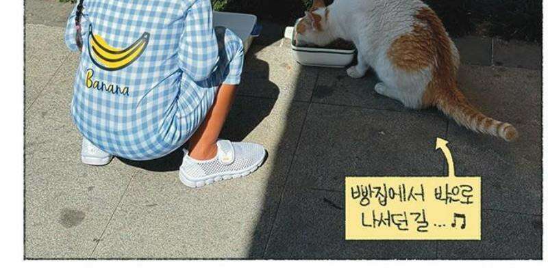 마님이네 미국 시골집 이야기 211화 빵집이 뭐야? 6