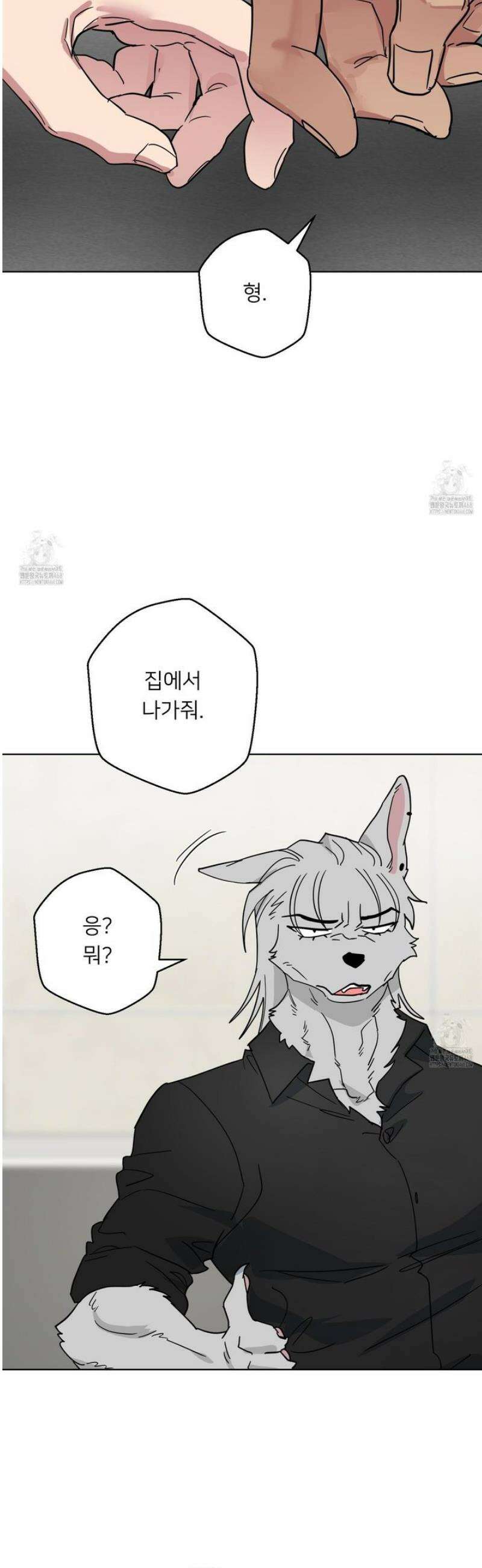 안돼요! 몰라요? 사실 알아요?! 48화 41