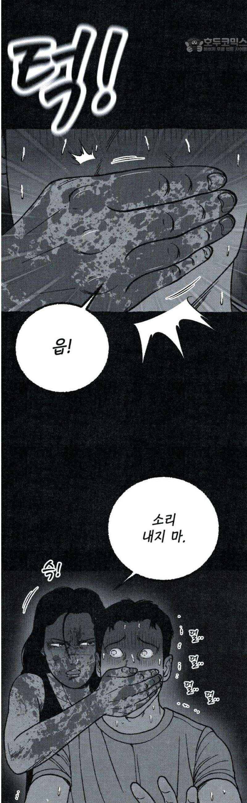 벌집 [후기] 37