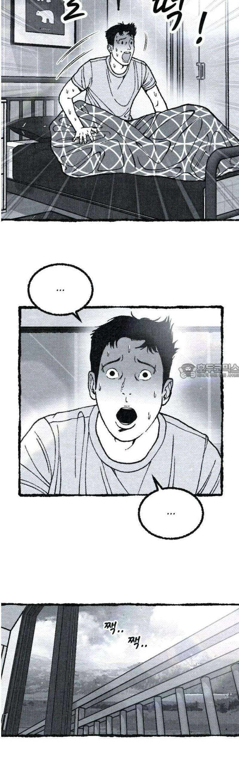 벌집 [후기] 43