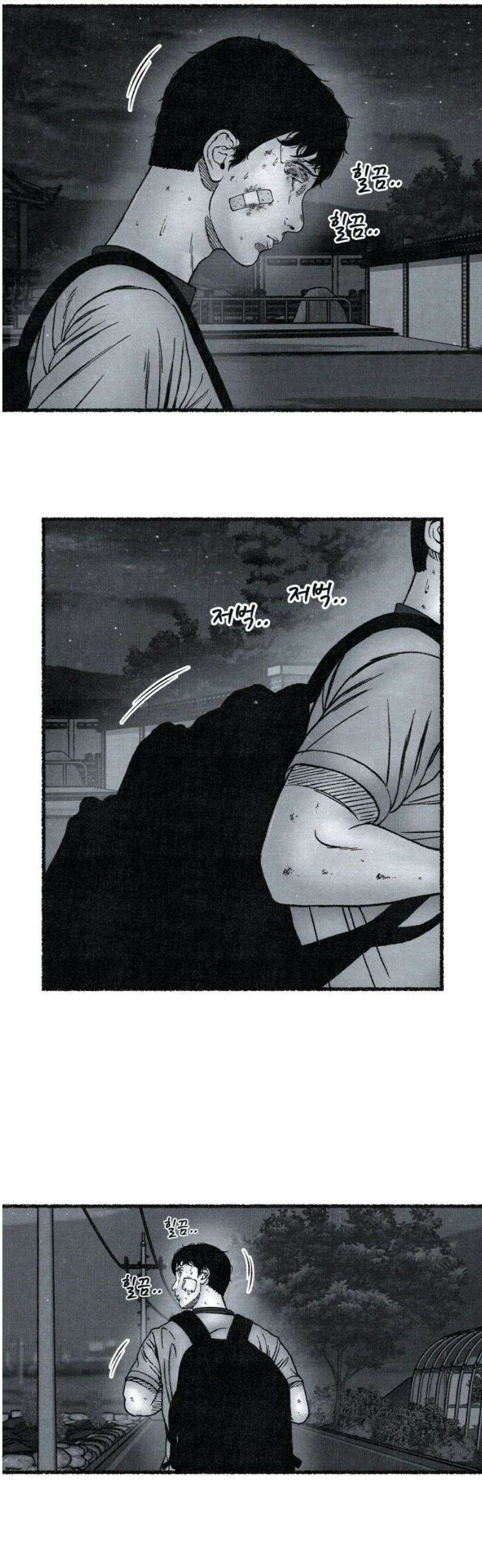 벌집 [후기] 46