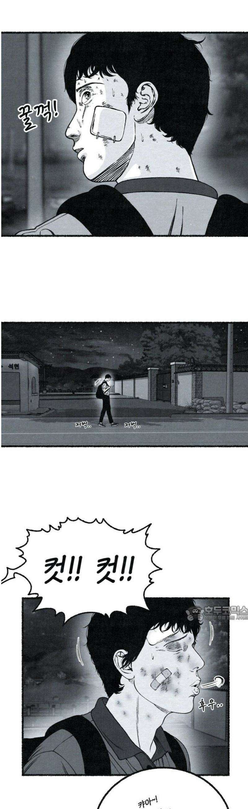 벌집 [후기] 47