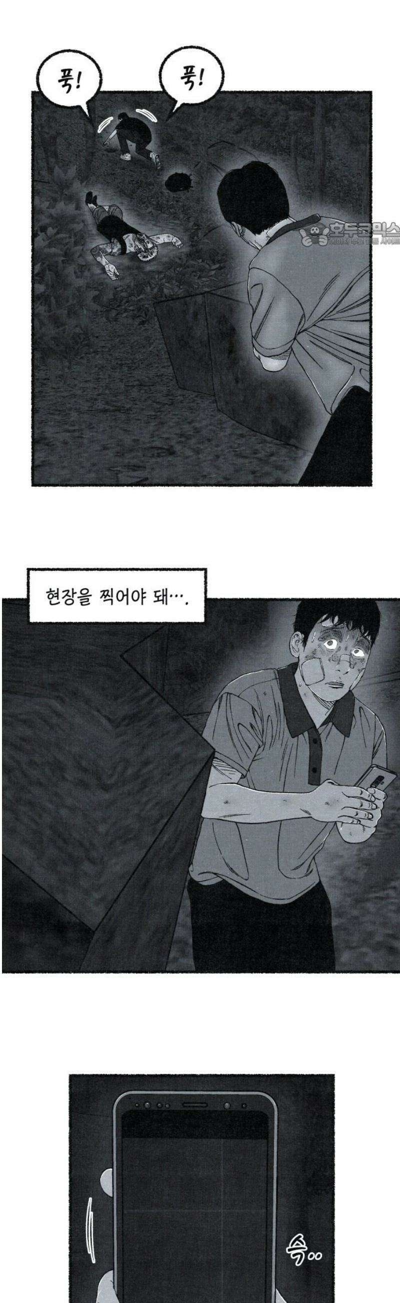 벌집 [후기] 54