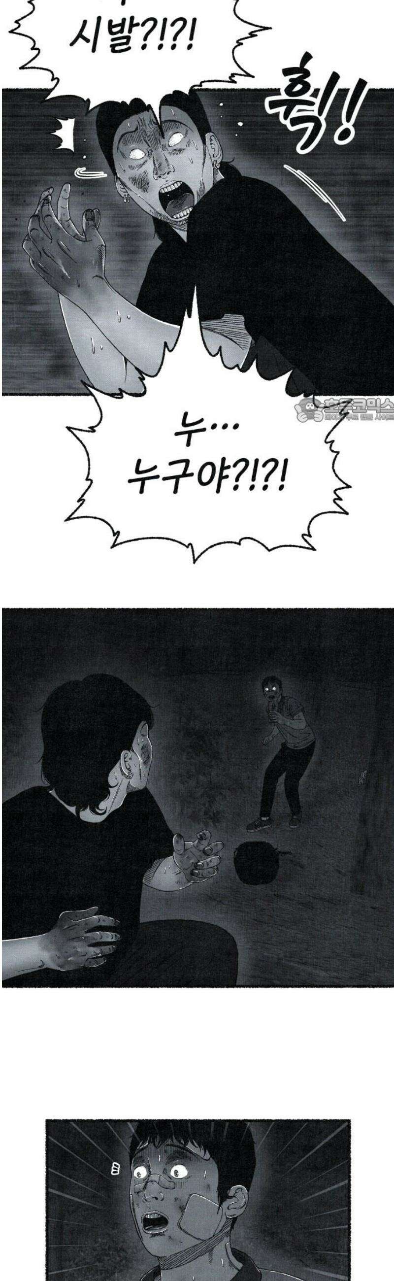 벌집 [후기] 56