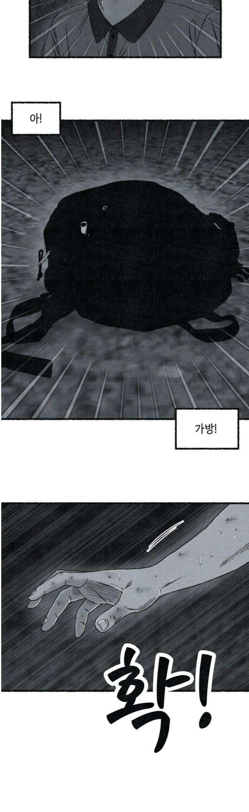 벌집 [후기] 57