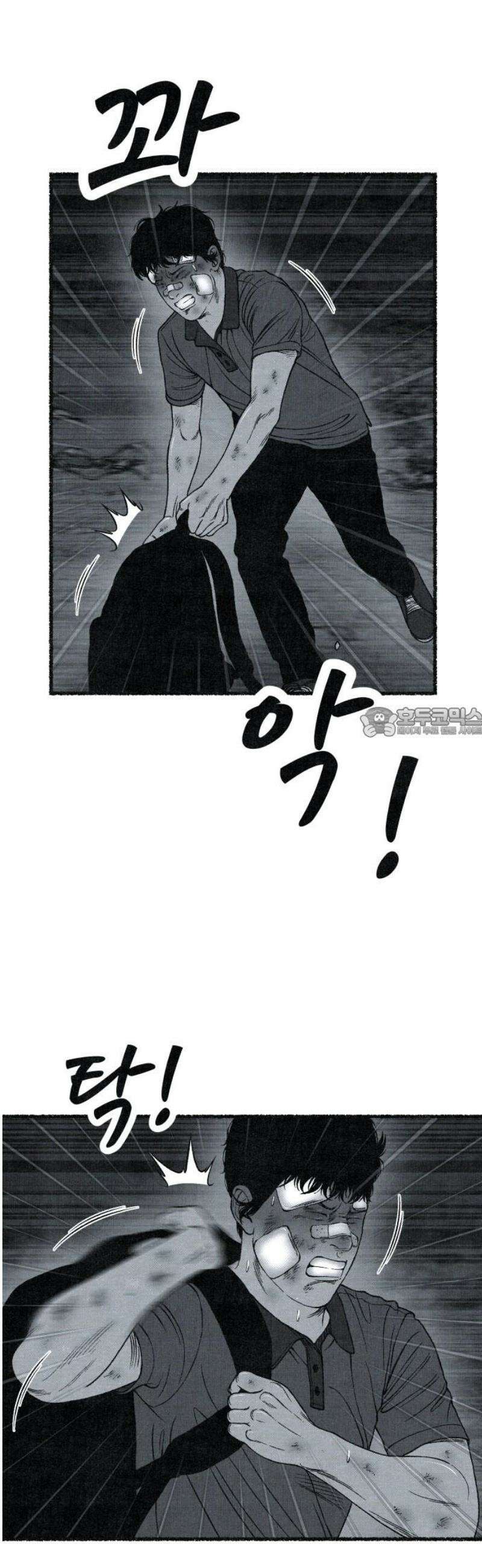 벌집 [후기] 58