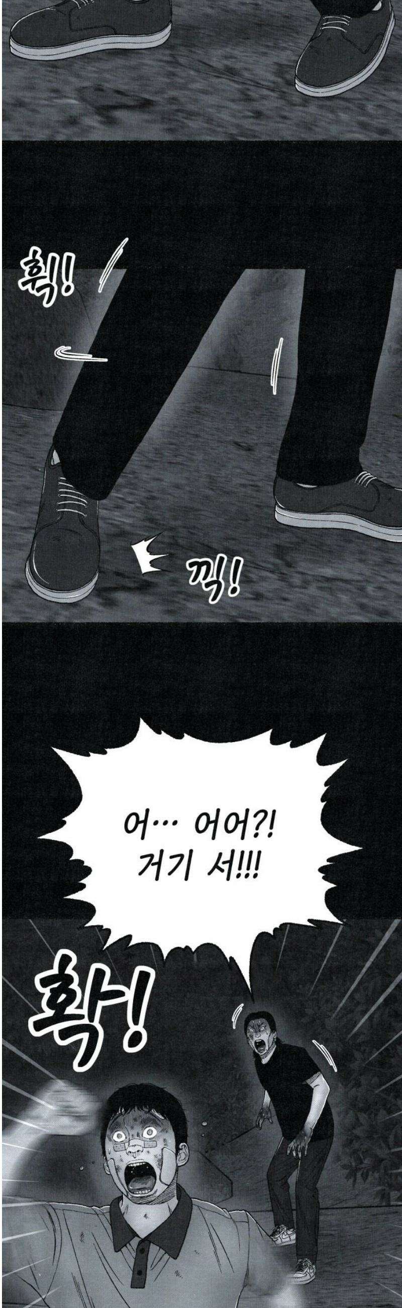 벌집 [후기] 61