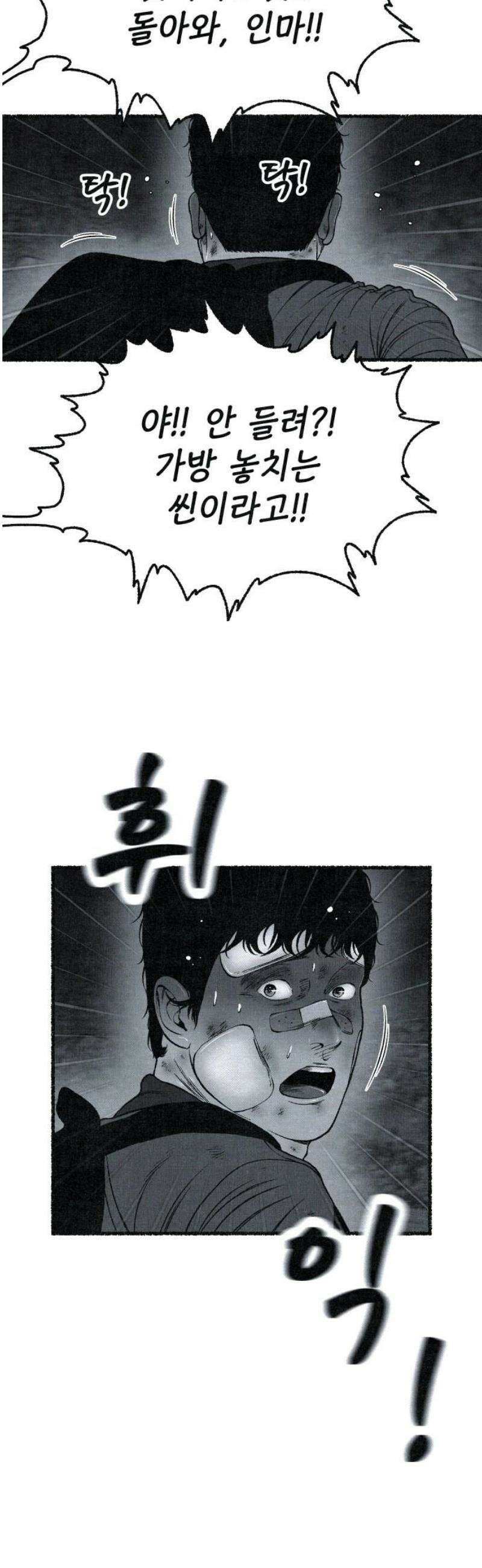 벌집 [후기] 63