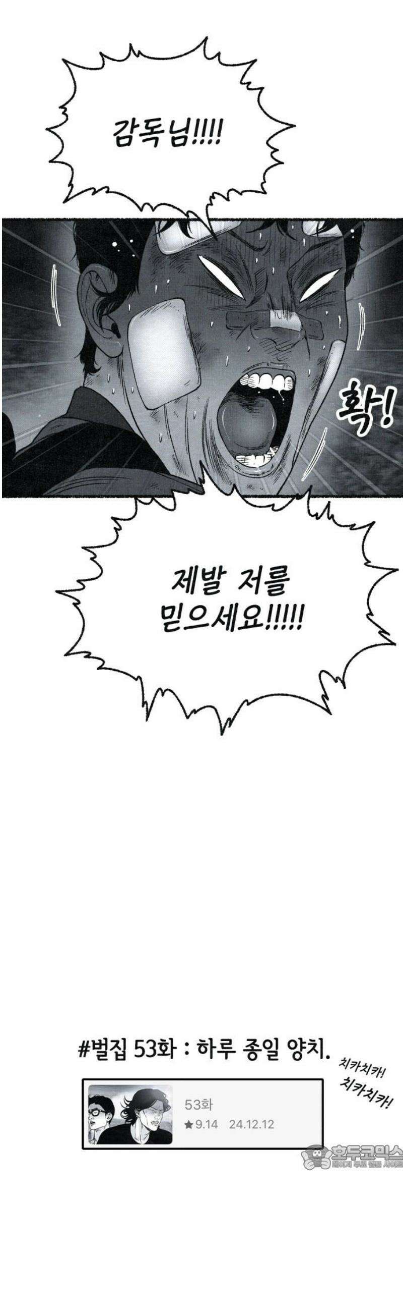 벌집 [후기] 64