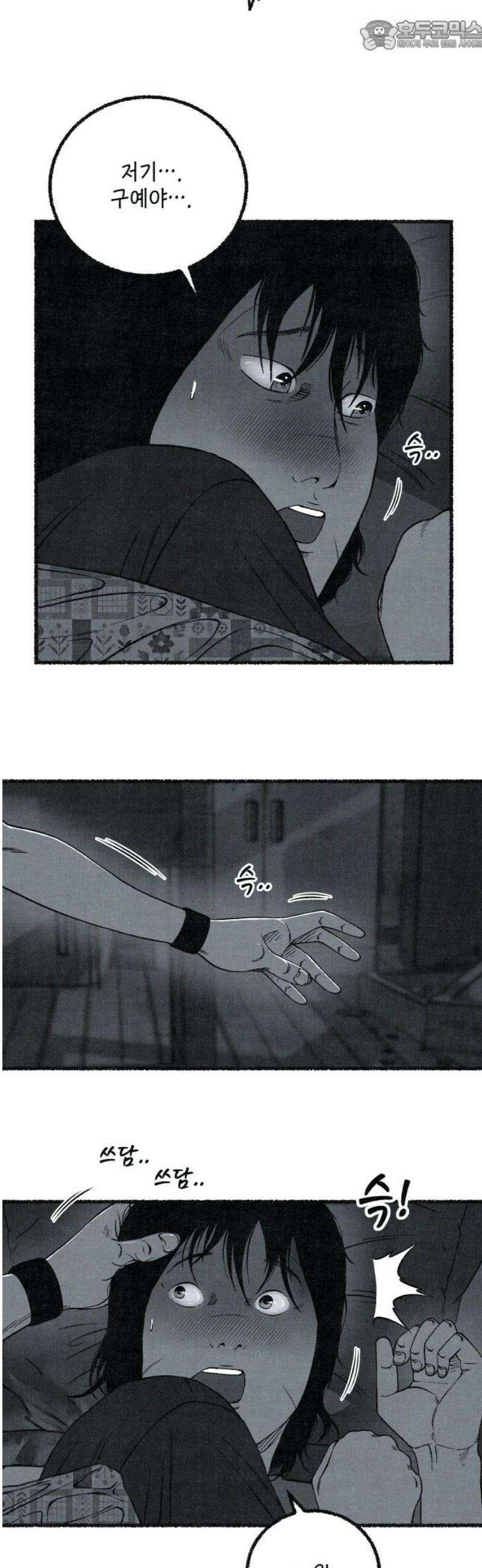 벌집 [후기] 67