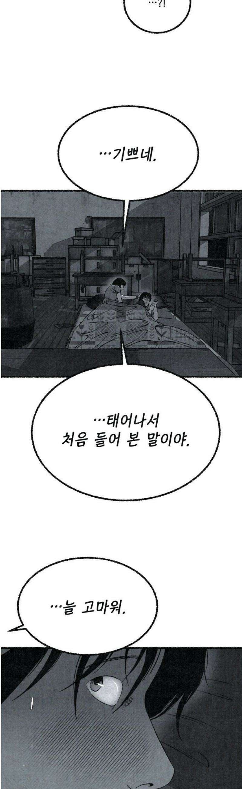 벌집 [후기] 68