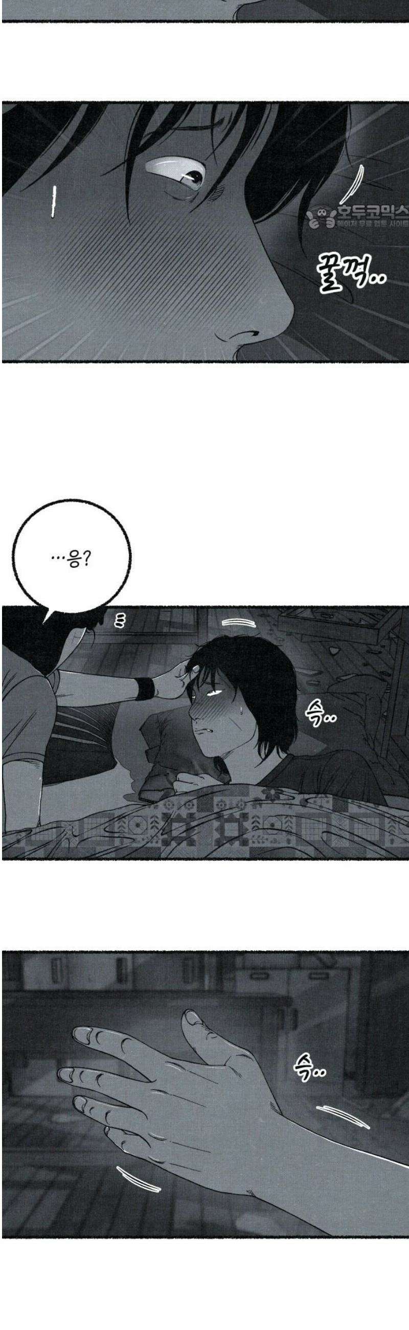 벌집 [후기] 69