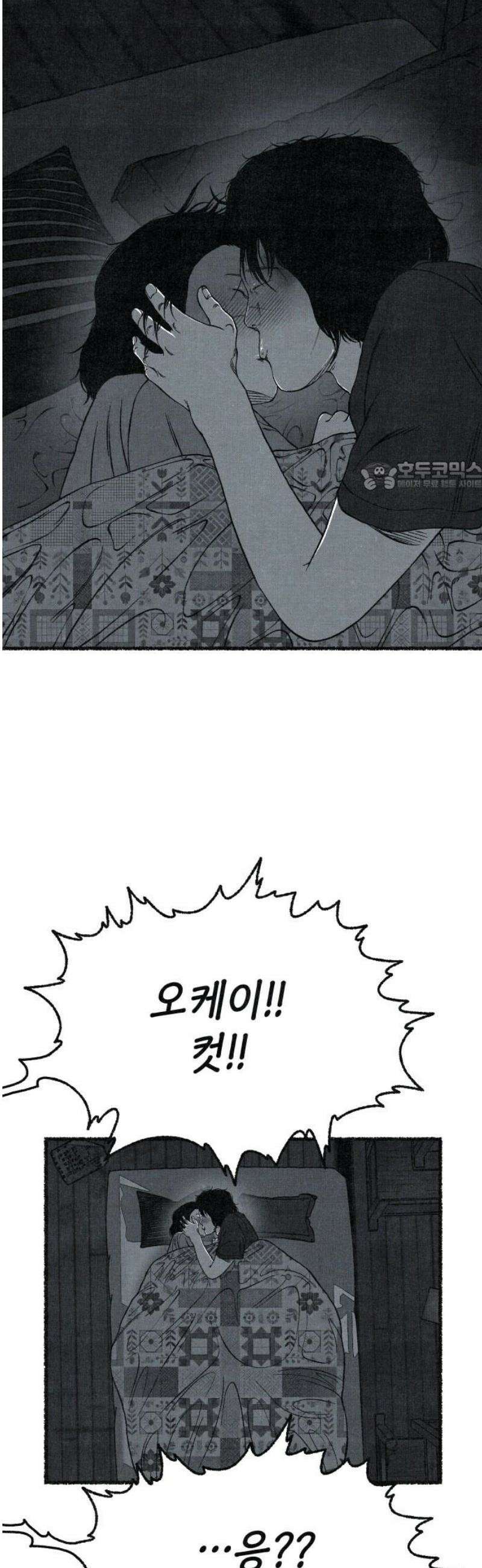 벌집 [후기] 71