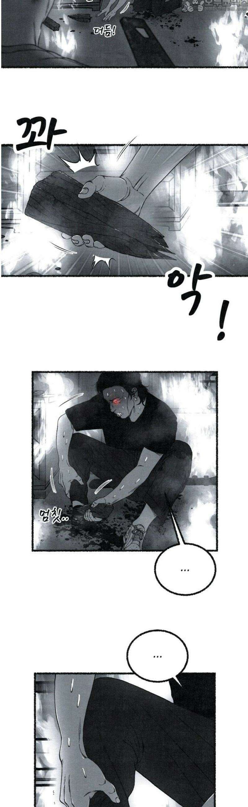 벌집 [후기] 82