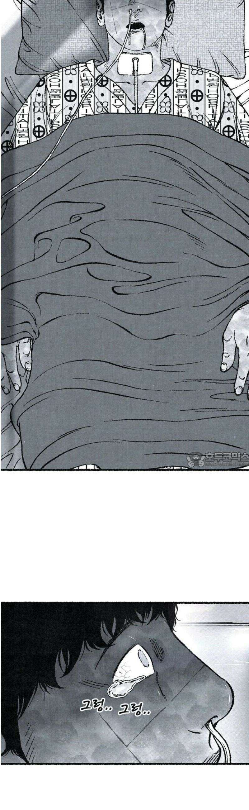 벌집 [후기] 90