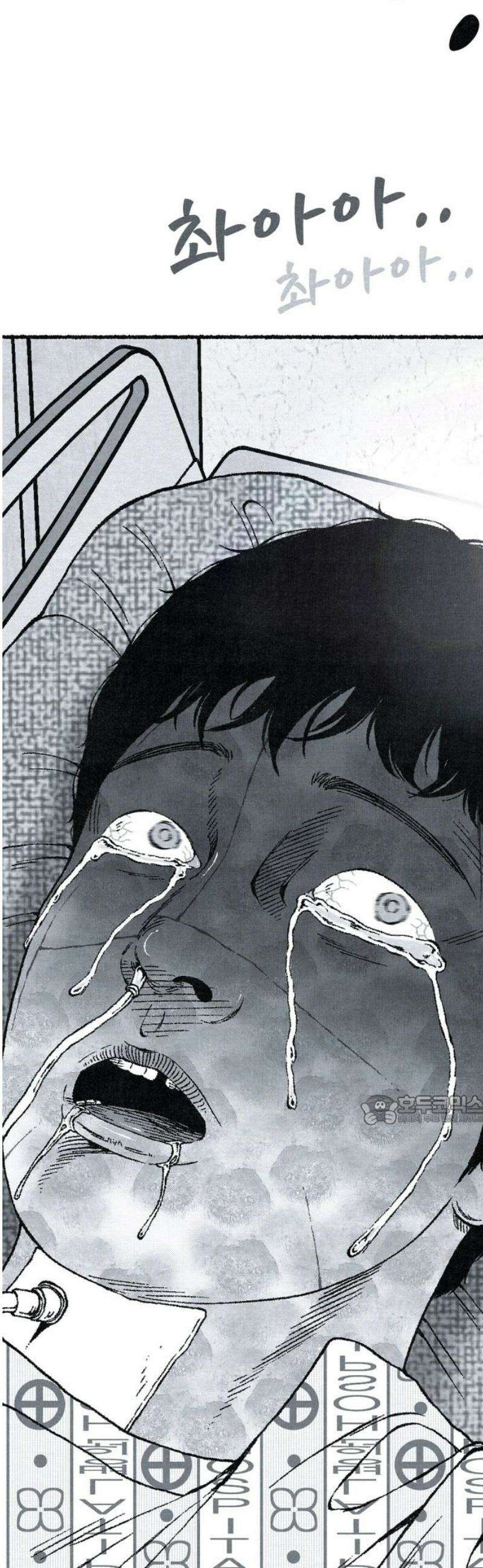 벌집 [후기] 92