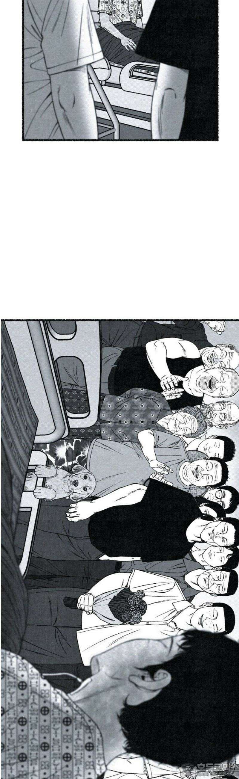 벌집 [후기] 96