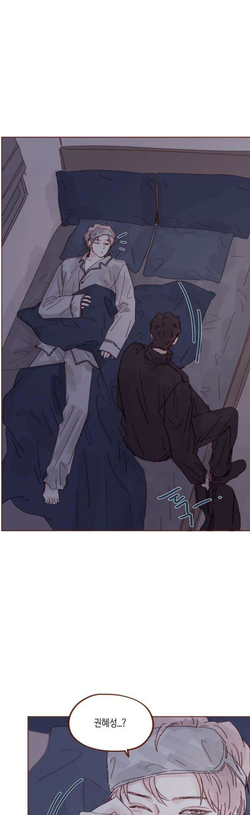 홍시는 날 좋아해 334화 : 도망쳐도 괜찮으니까 14
