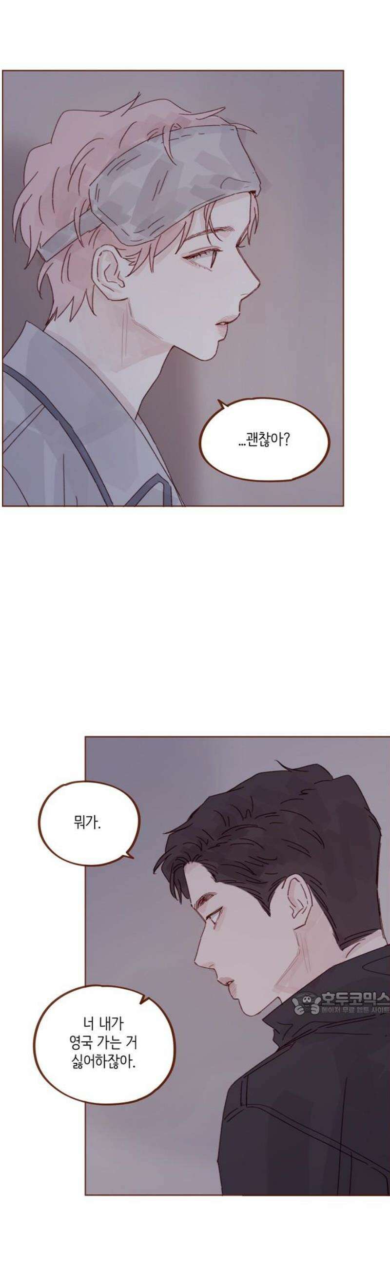 홍시는 날 좋아해 334화 : 도망쳐도 괜찮으니까 17