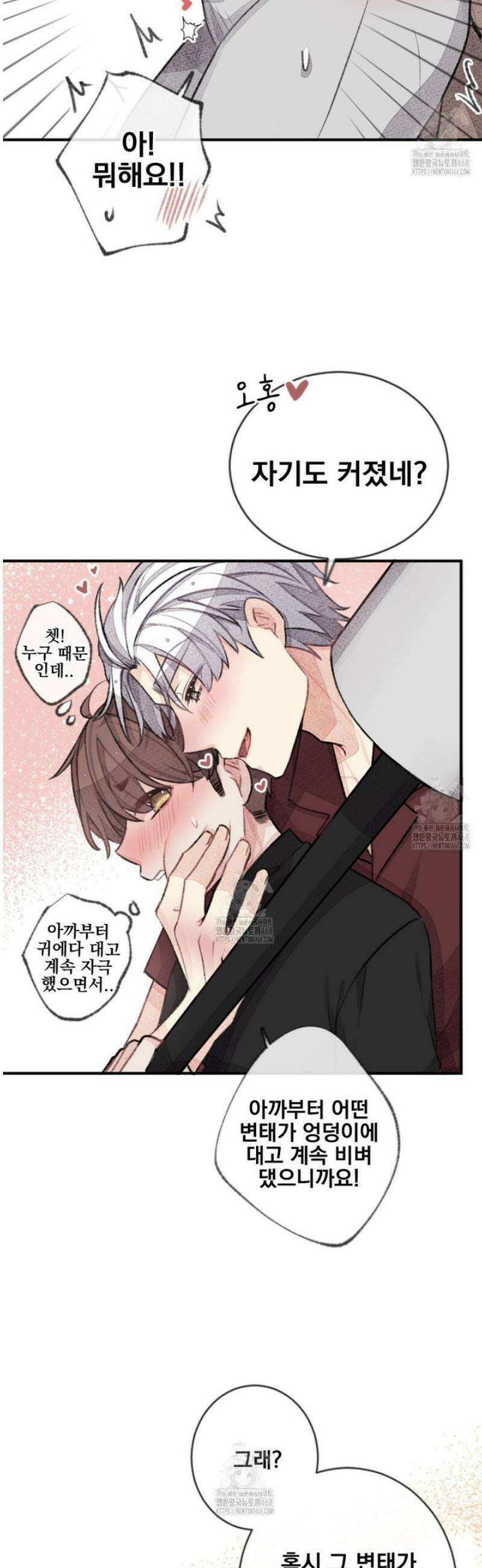 미스터 베타 96화 15