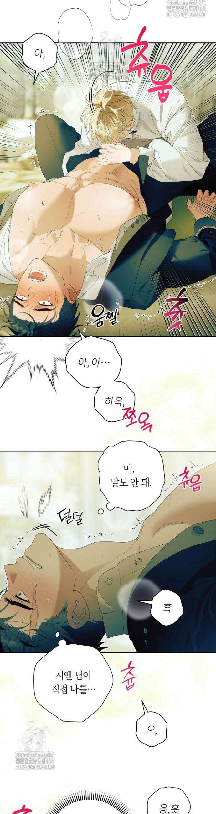 파테라 8화 17