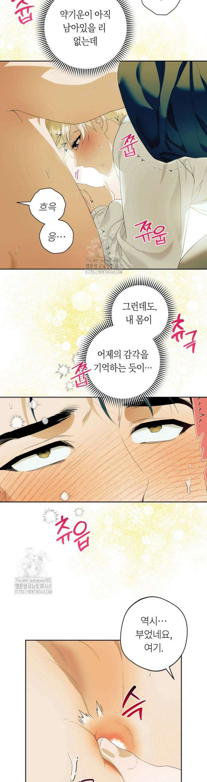 파테라 8화 18