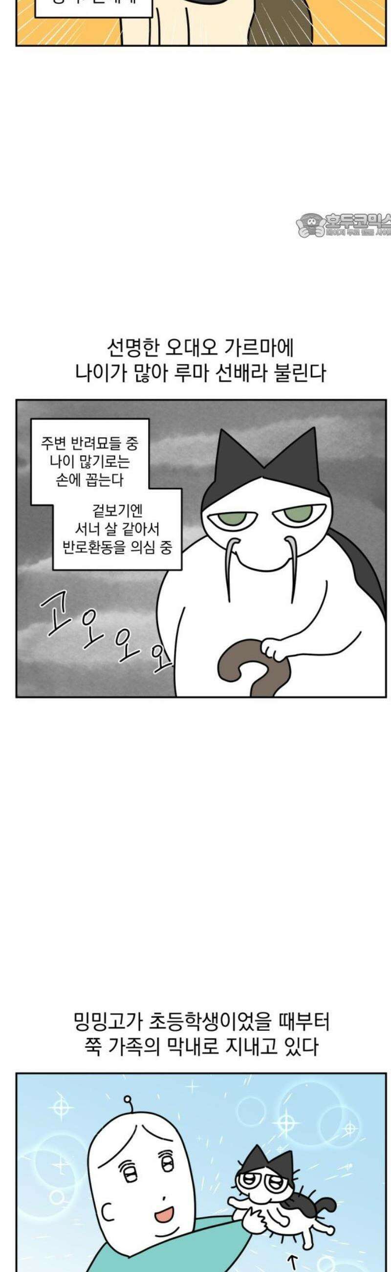 고고밍밍고 9화 루마 선배 2