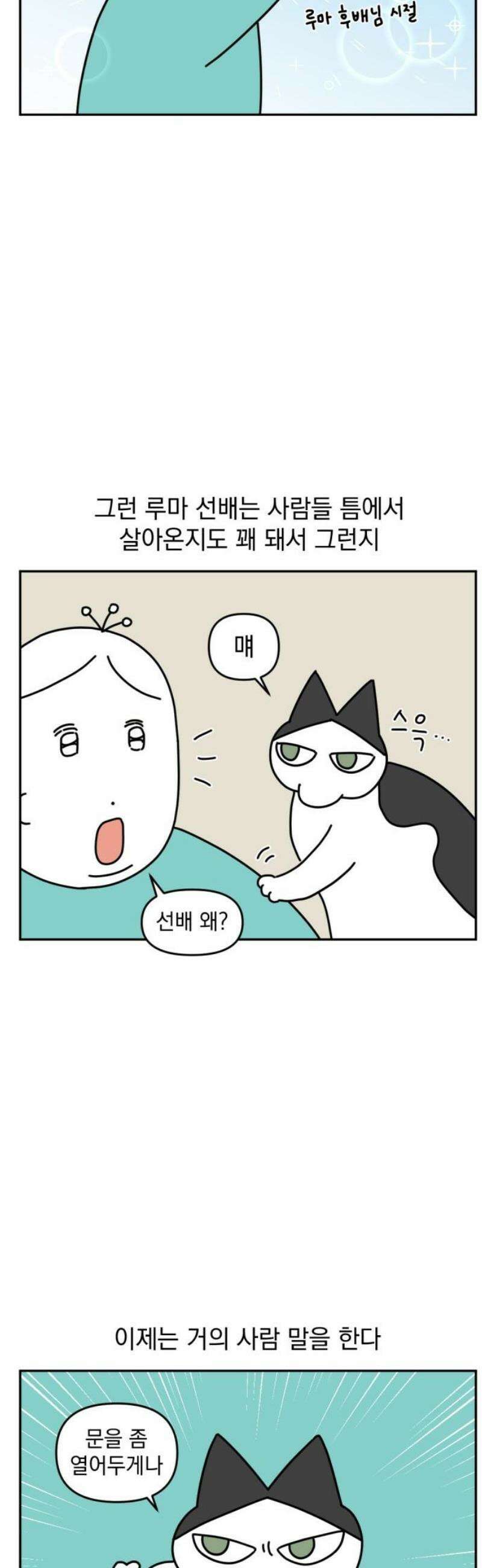 고고밍밍고 9화 루마 선배 3
