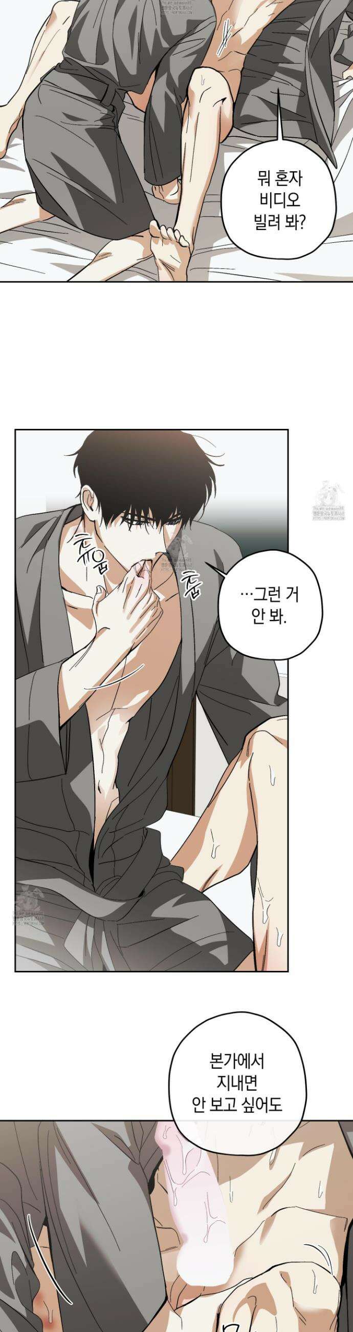 호호상박 14화 3