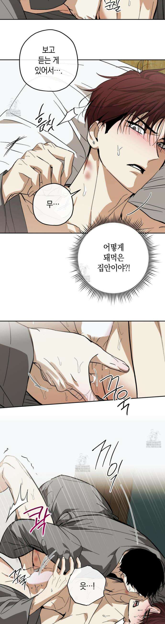 호호상박 14화 4