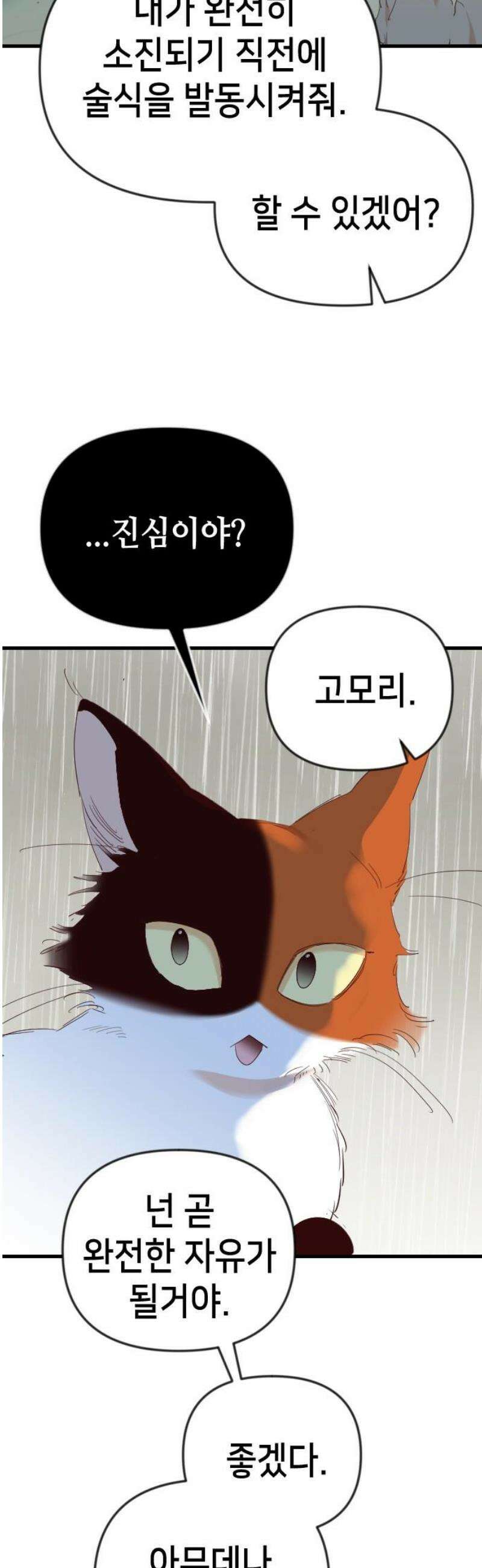 데빌샷 198화 사라지는 것 (1) 14