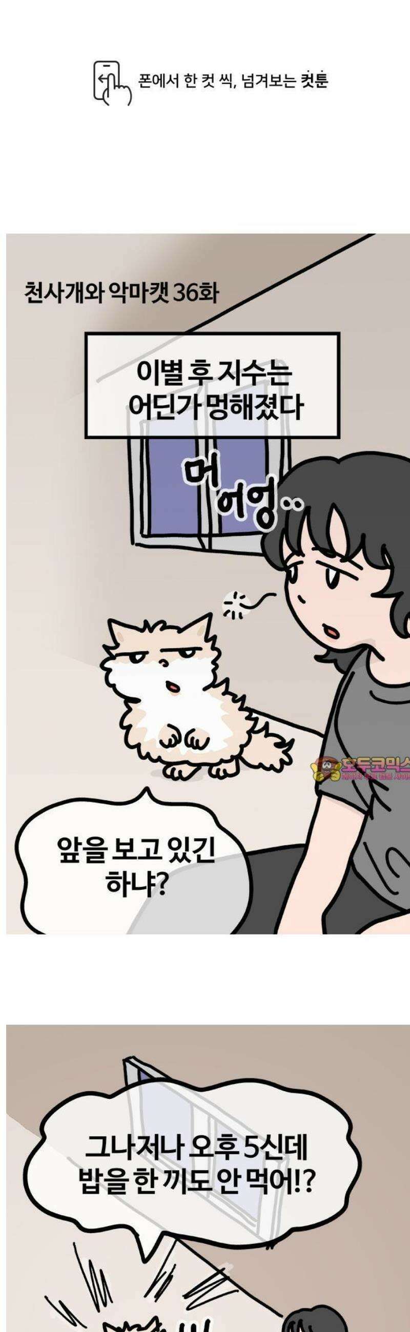 천사개와 악마캣 36화 : 천사개의 어필 1